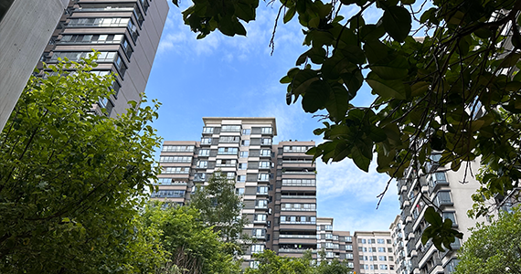 域名注册商：互联网身份的守护者