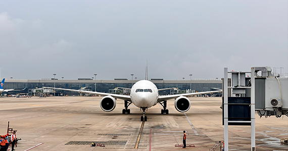 在线批量查询域名注册日期