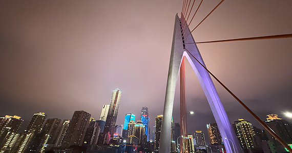 域名注册公司：互联网身份的关键守护者