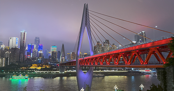 新网域名批量注册：策略、技巧与注意事项